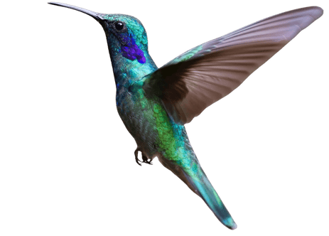 diseño sin título (7)